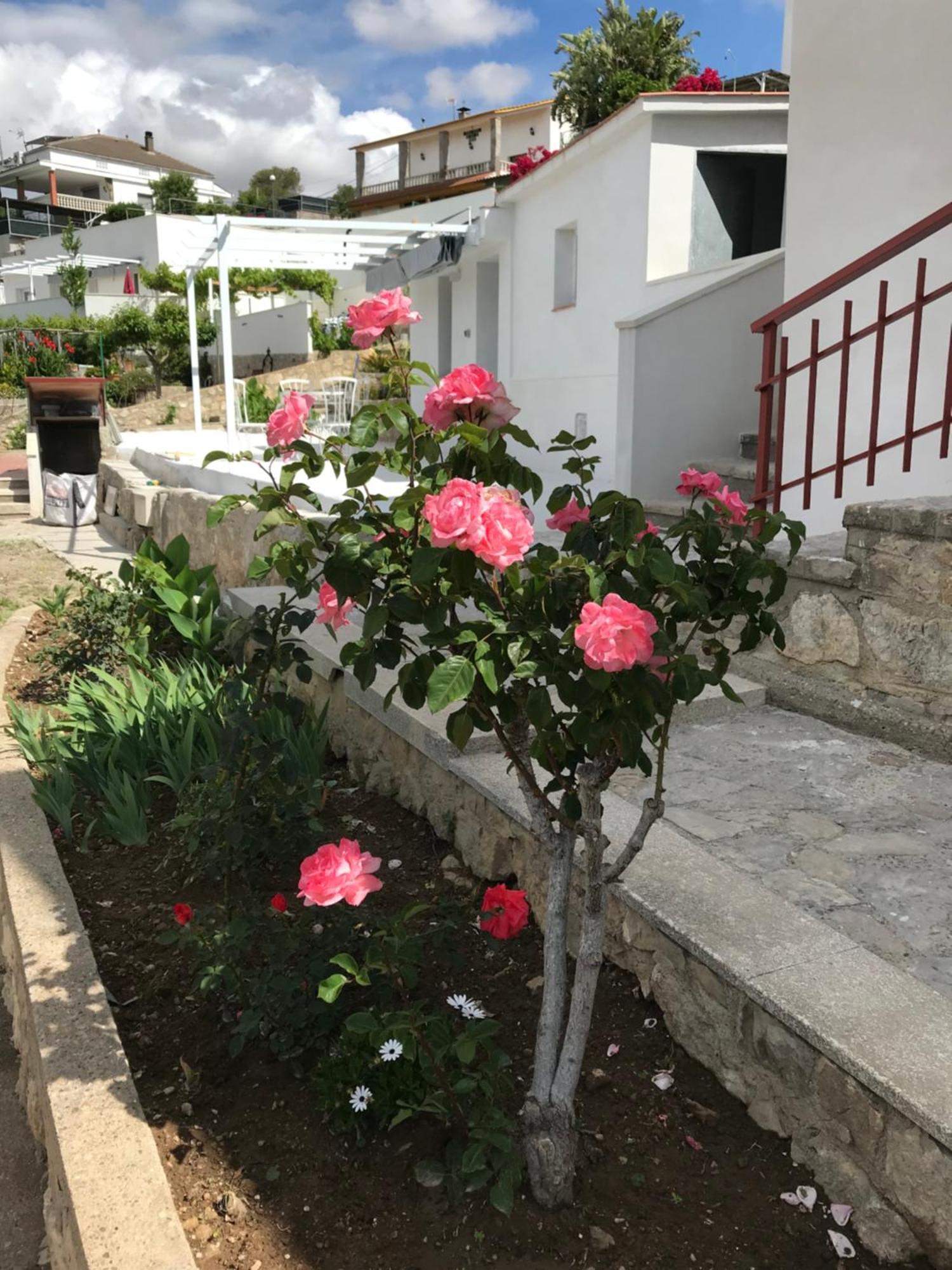 Campagne Luxueuse De Sitges Villa Olivella Ngoại thất bức ảnh